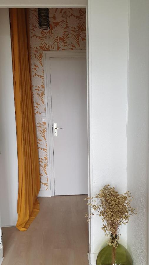 סריל-סור-מר Rez De Jardin Vue Mer Costa Bella מראה חיצוני תמונה